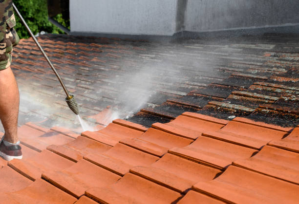 Best Power Washing Near Me  in Bernardsville, NJ